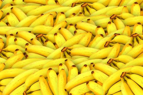 Vou plantar banana